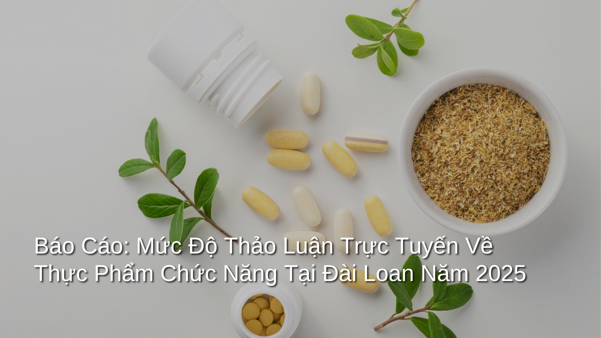 report-2025-taiwan-health-supplement-online-buzz-heat-cover-VN.png