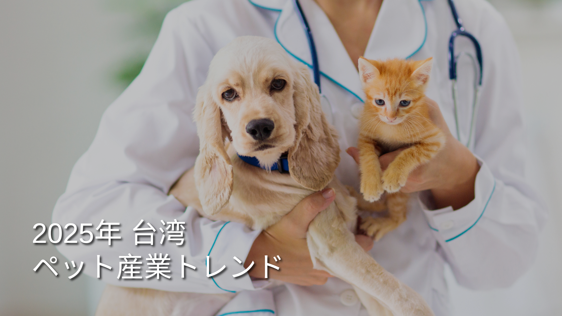 report-2025-taiwan-pet-industry-trend-JP.png