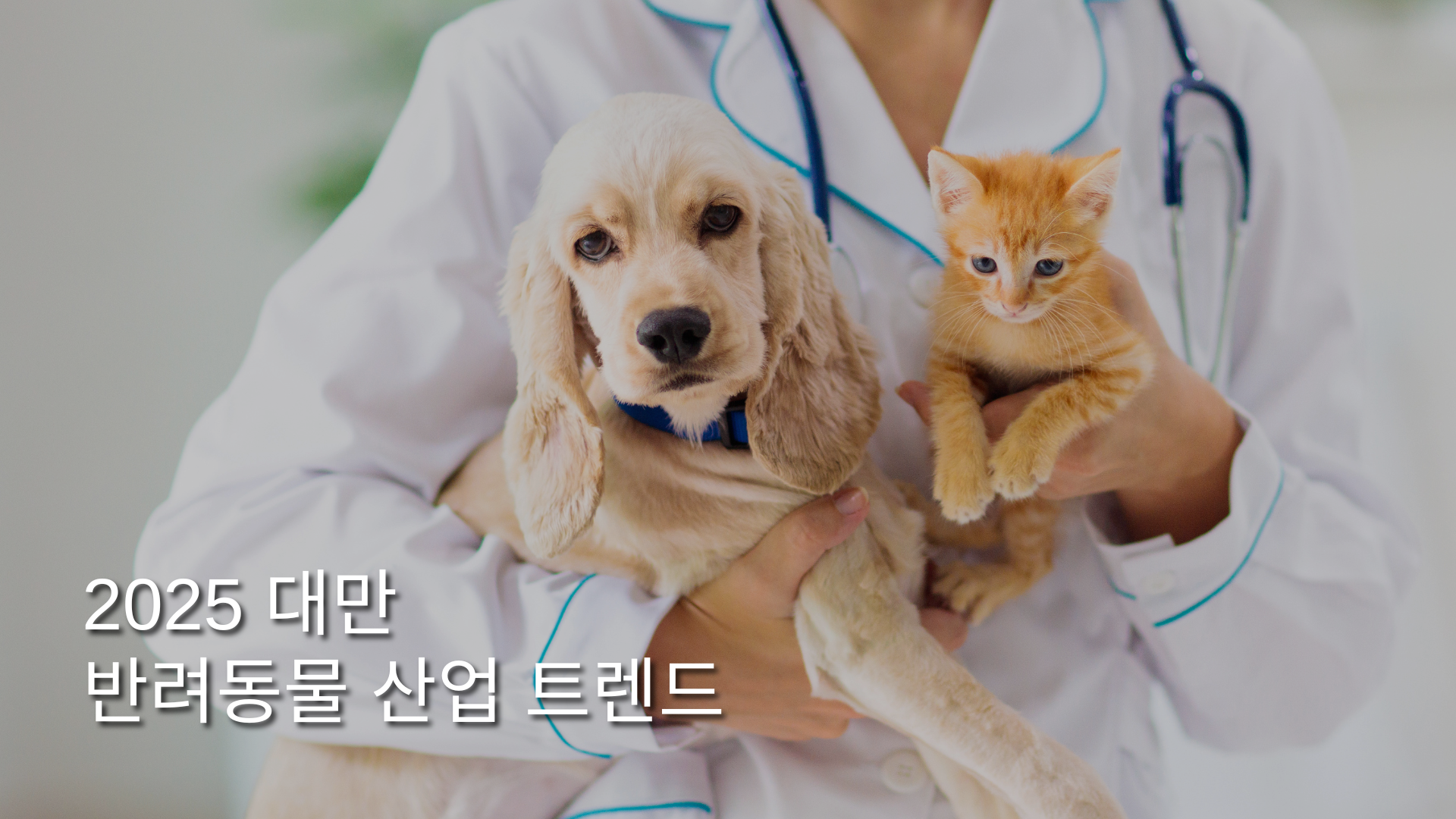report-2025-taiwan-pet-industry-trend-KR.png