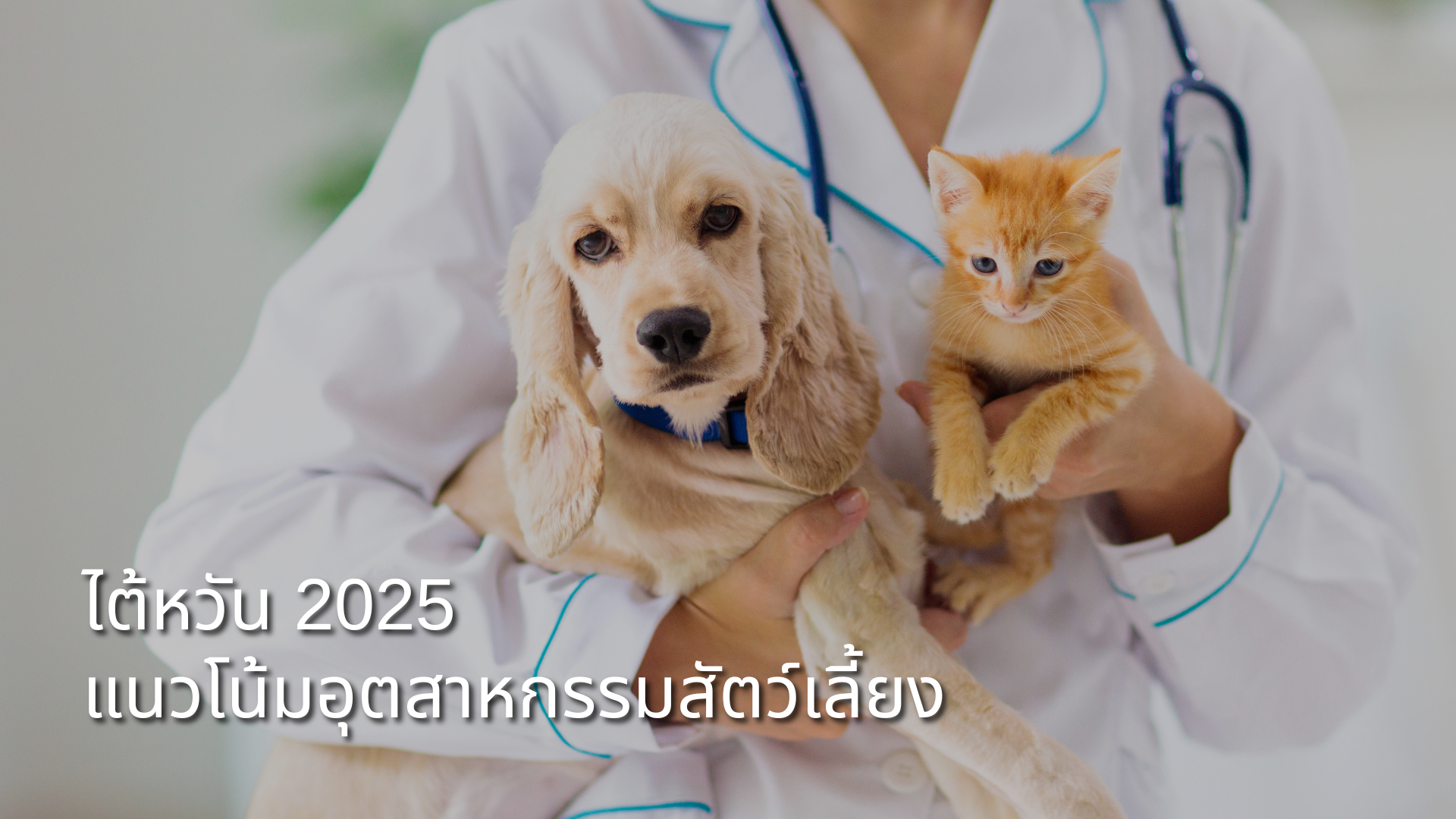 report-2025-taiwan-pet-industry-trend-TH.png